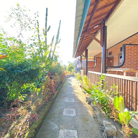 Green Orry Inn Tetebatu Exterior foto